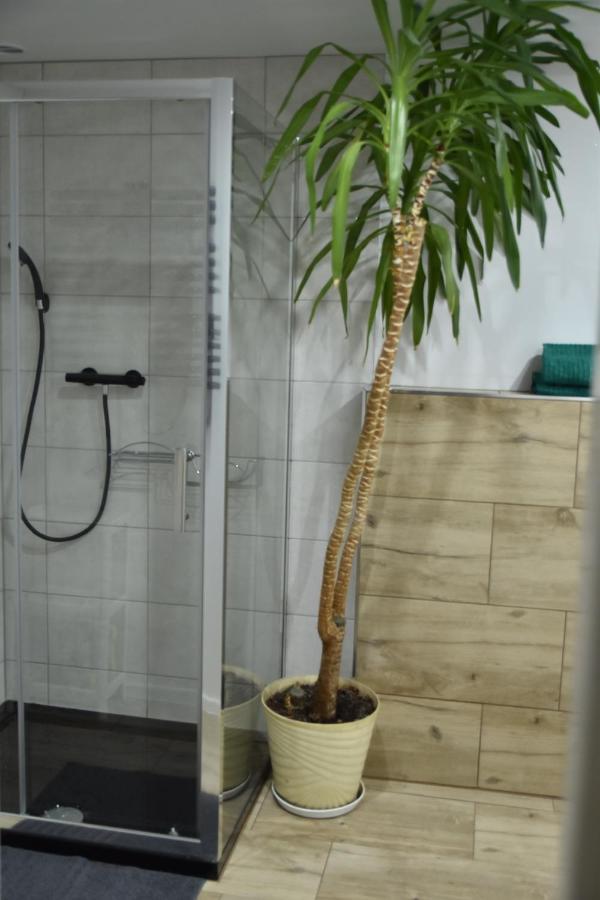 Apartament Centrum Polanica-Zdrój Esterno foto